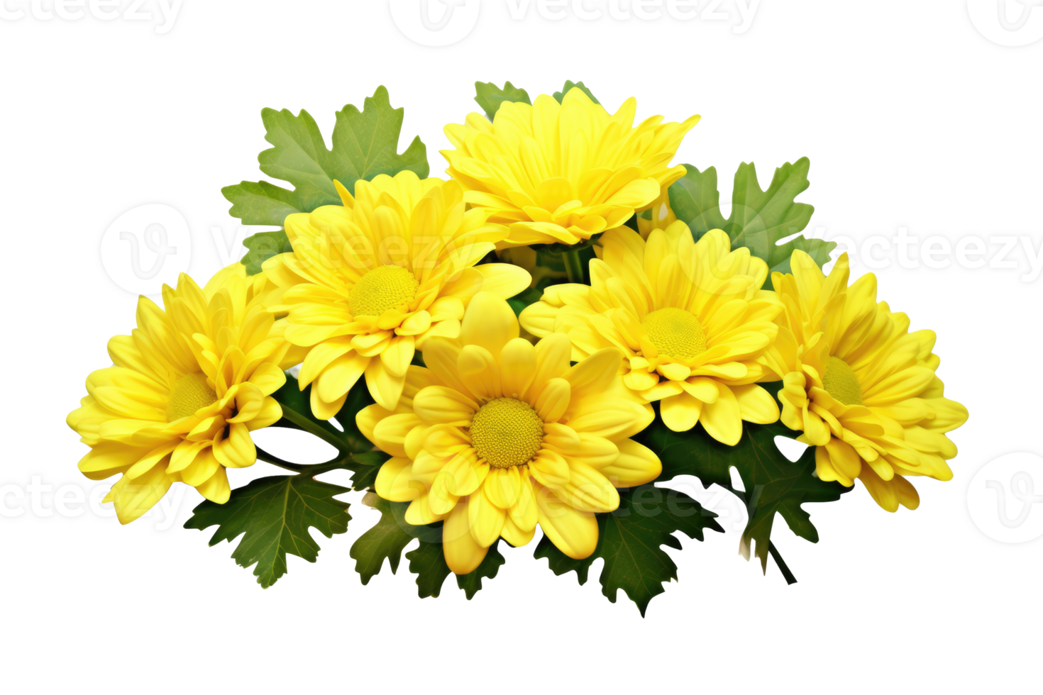 Yellow chrysanthemum flowers in a floral arrangement isolated on white or transparent background, png