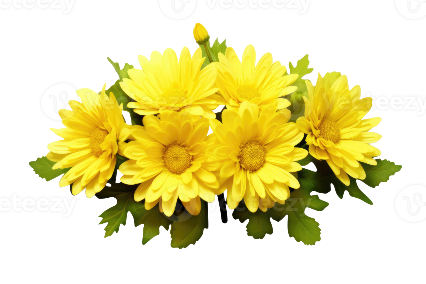 Yellow chrysanthemum flowers in a floral arrangement isolated on white or transparent background, png