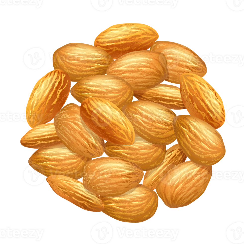 Pile of Almonds on Transparent Background png