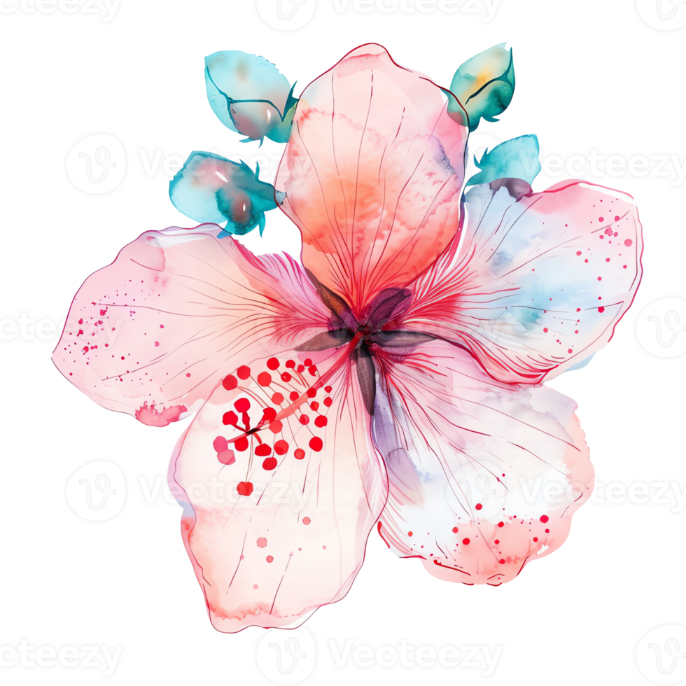 A beautiful watercolor painting of a pink hibiscus flower with detailed petals and vibrant colors, perfect for artistic and decorative purposes. png