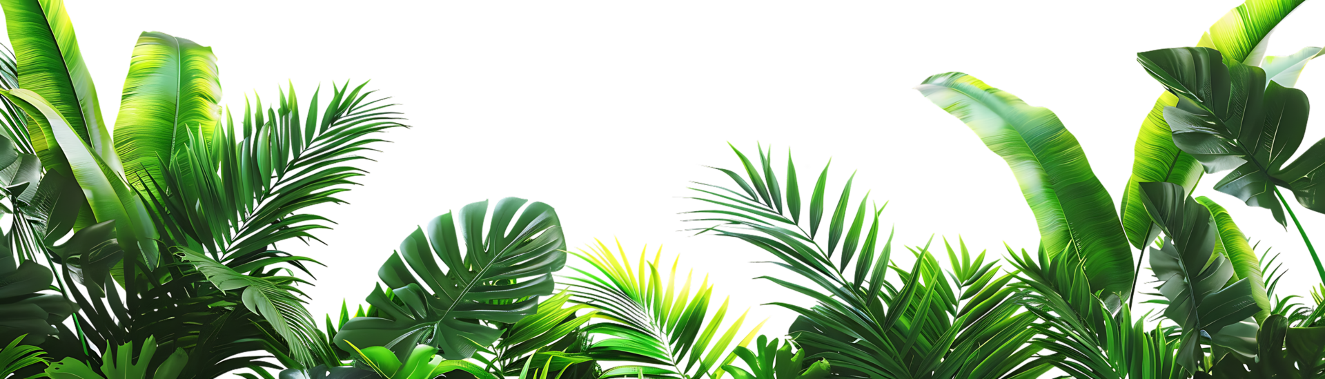 Tropical Green Leaves Illustration on Black Background png