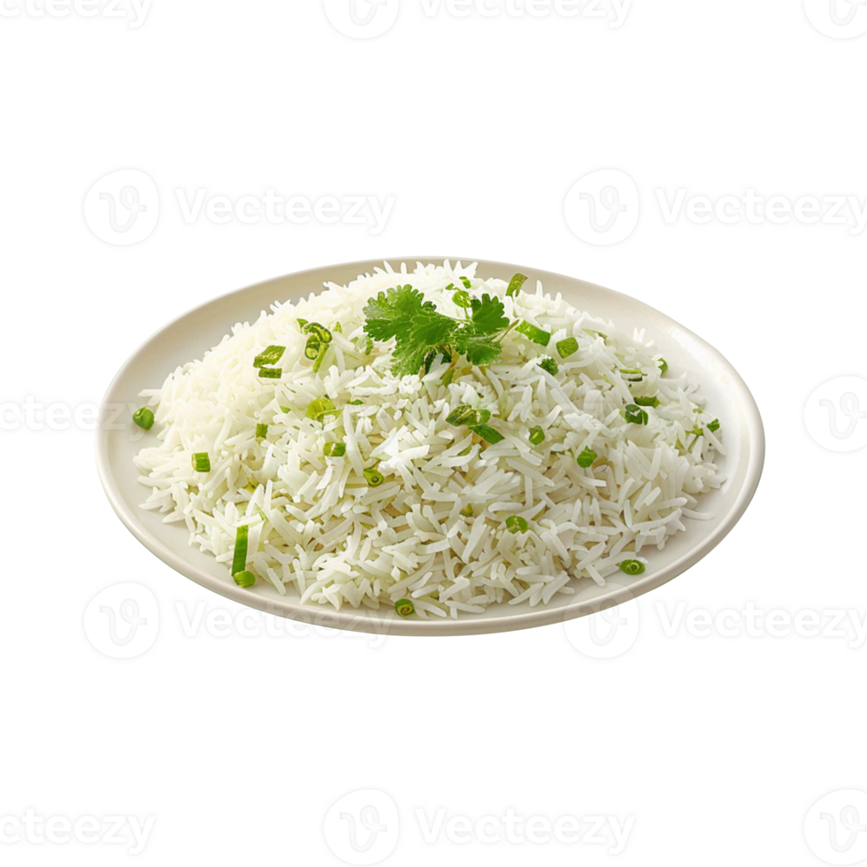A plate of rice isolated on transparent background png
