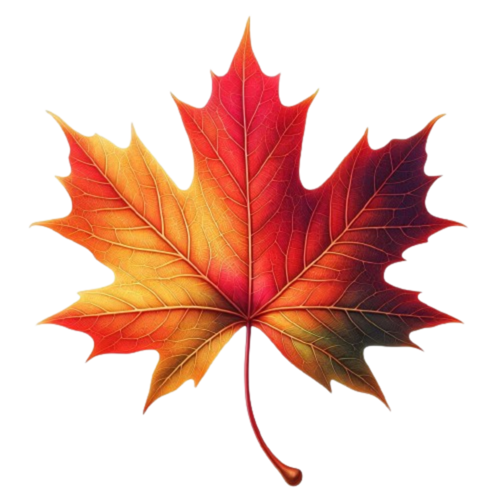 Colorful Autumn Leaves White Canvas Background for Fall Decor png