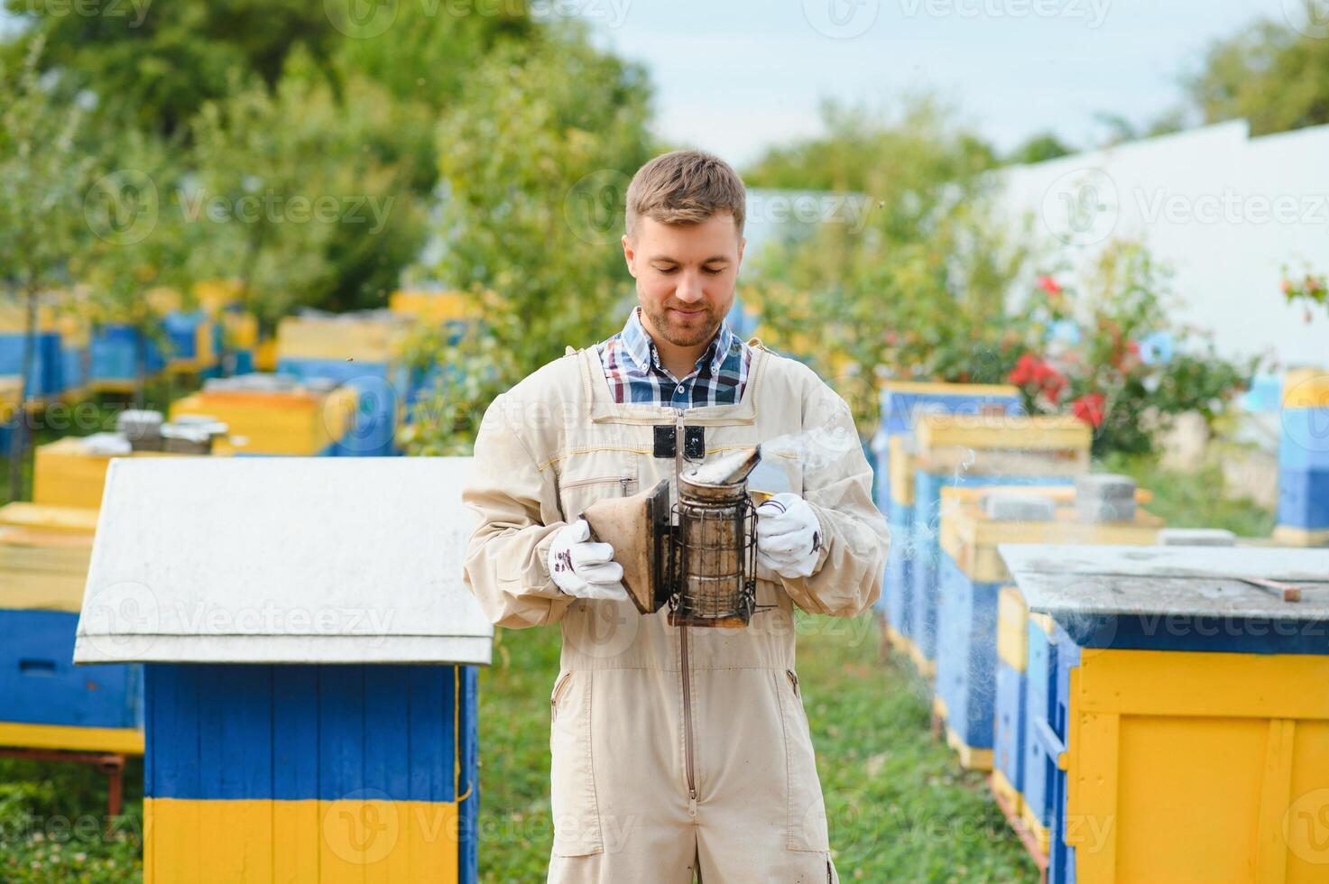 Beekeeping, beekeeper at work, bees in flight. photo