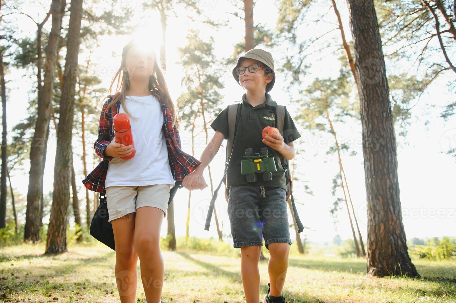 Happy excited school children with backpacks in casual clothes enjoying walk in forest on sunny autumn day, two active kids boy and girl running and playing together during camping trip in nature. photo