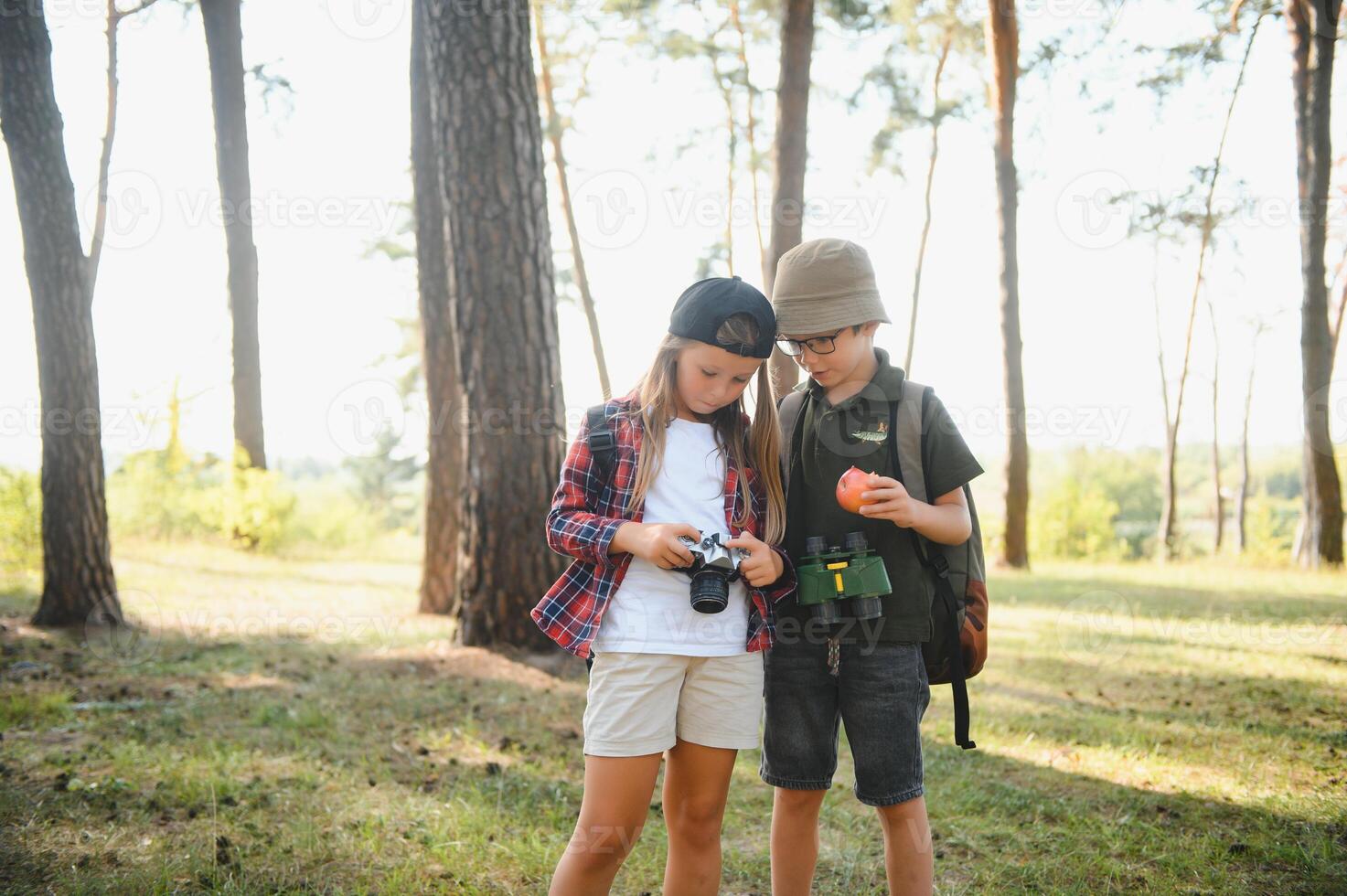 Two happy children having fun during forest hike on beautiful day in pine forest. Cute boy scout with binoculars during hiking in summer forest. Concepts of adventure, scouting and hiking tourism photo