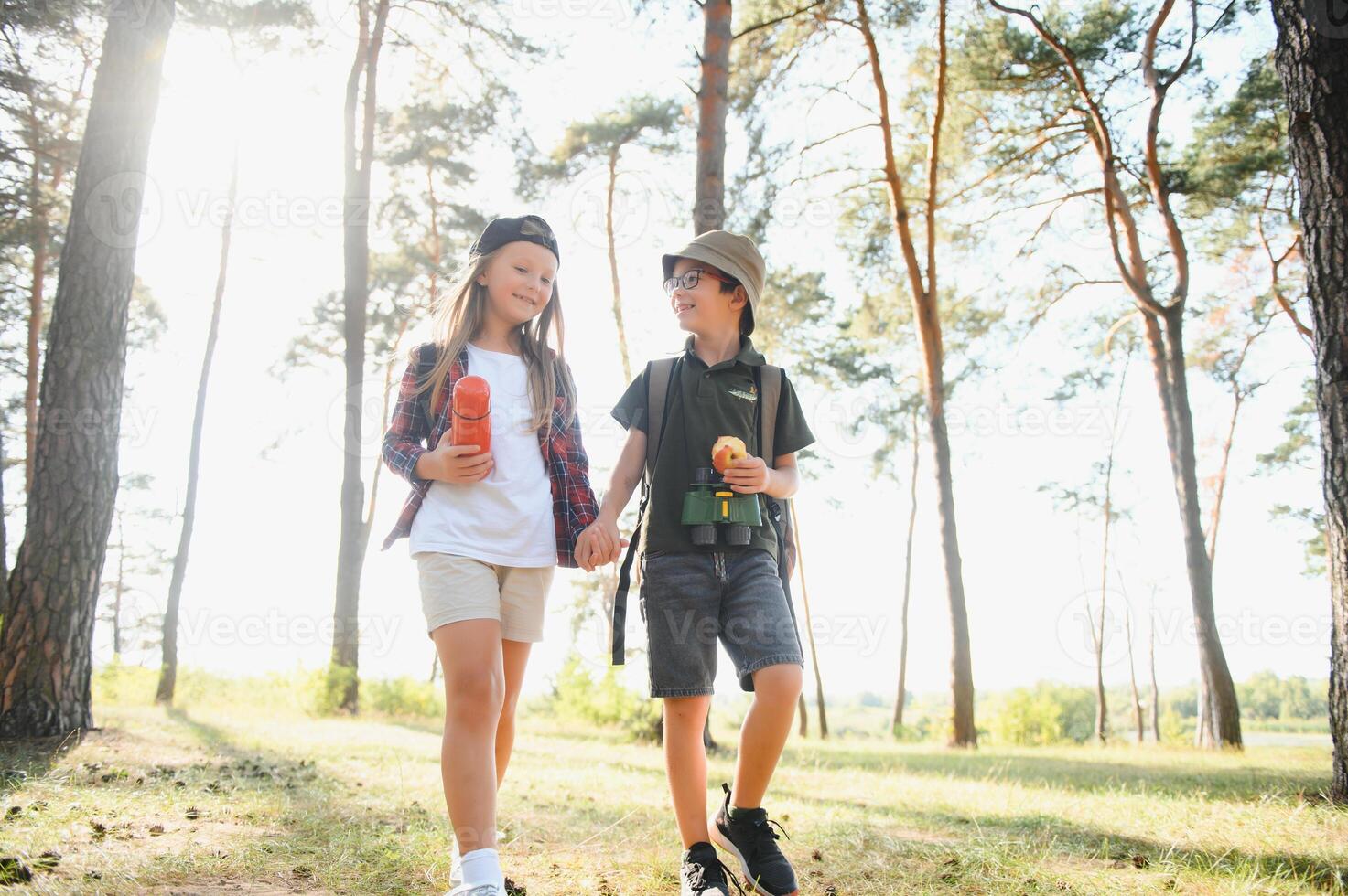 Group of curious happy school kids in casual clothes with backpacks exploring nature and forest together on sunny autumn day. photo