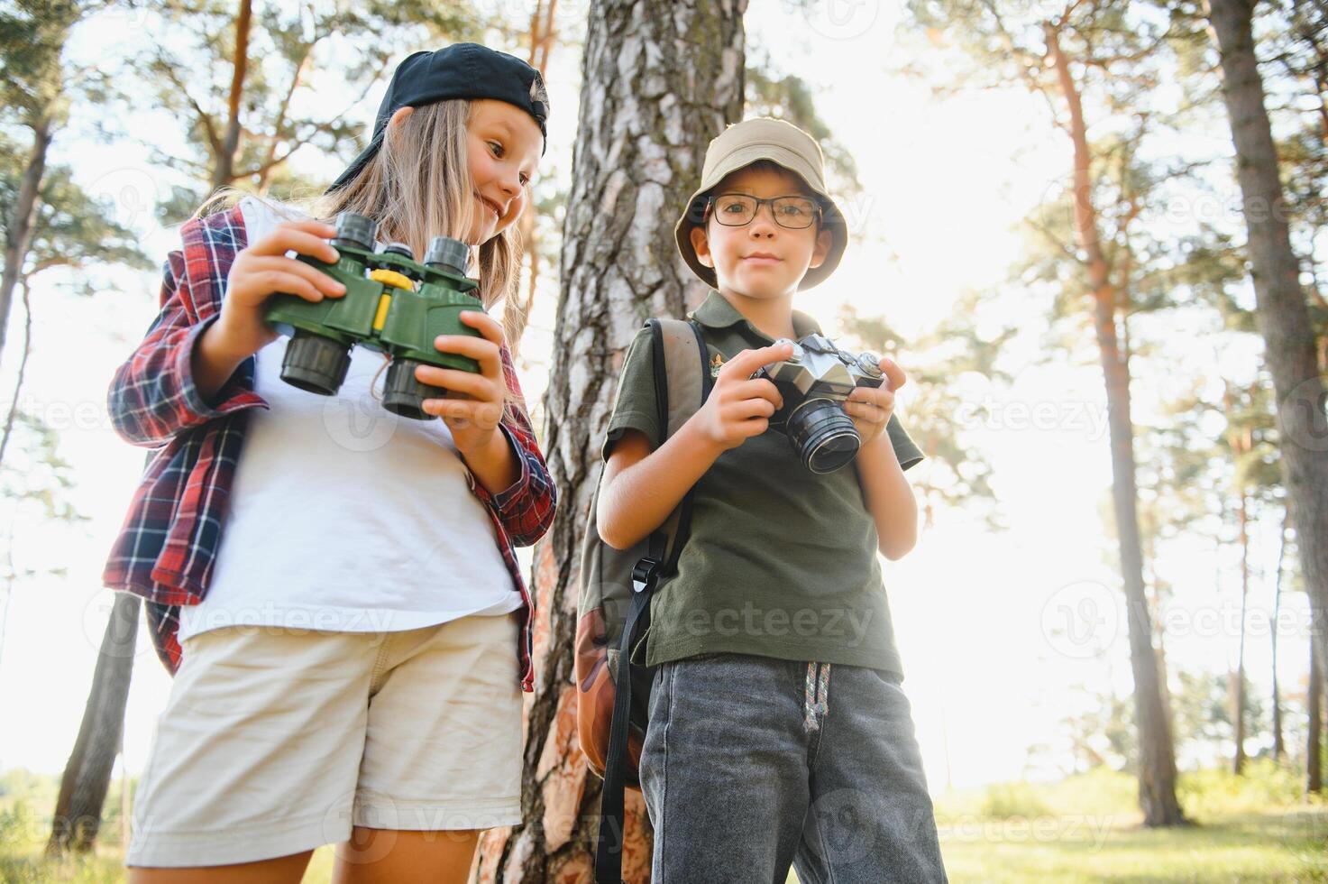 kids in green forest playing,concept of kids vacations and travel photo