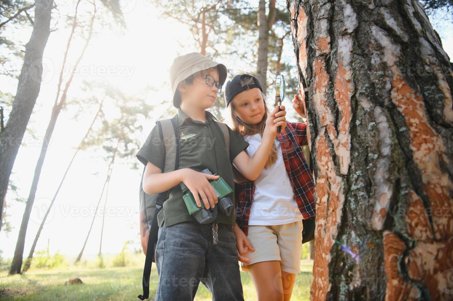 kids scouts in the forest. photo
