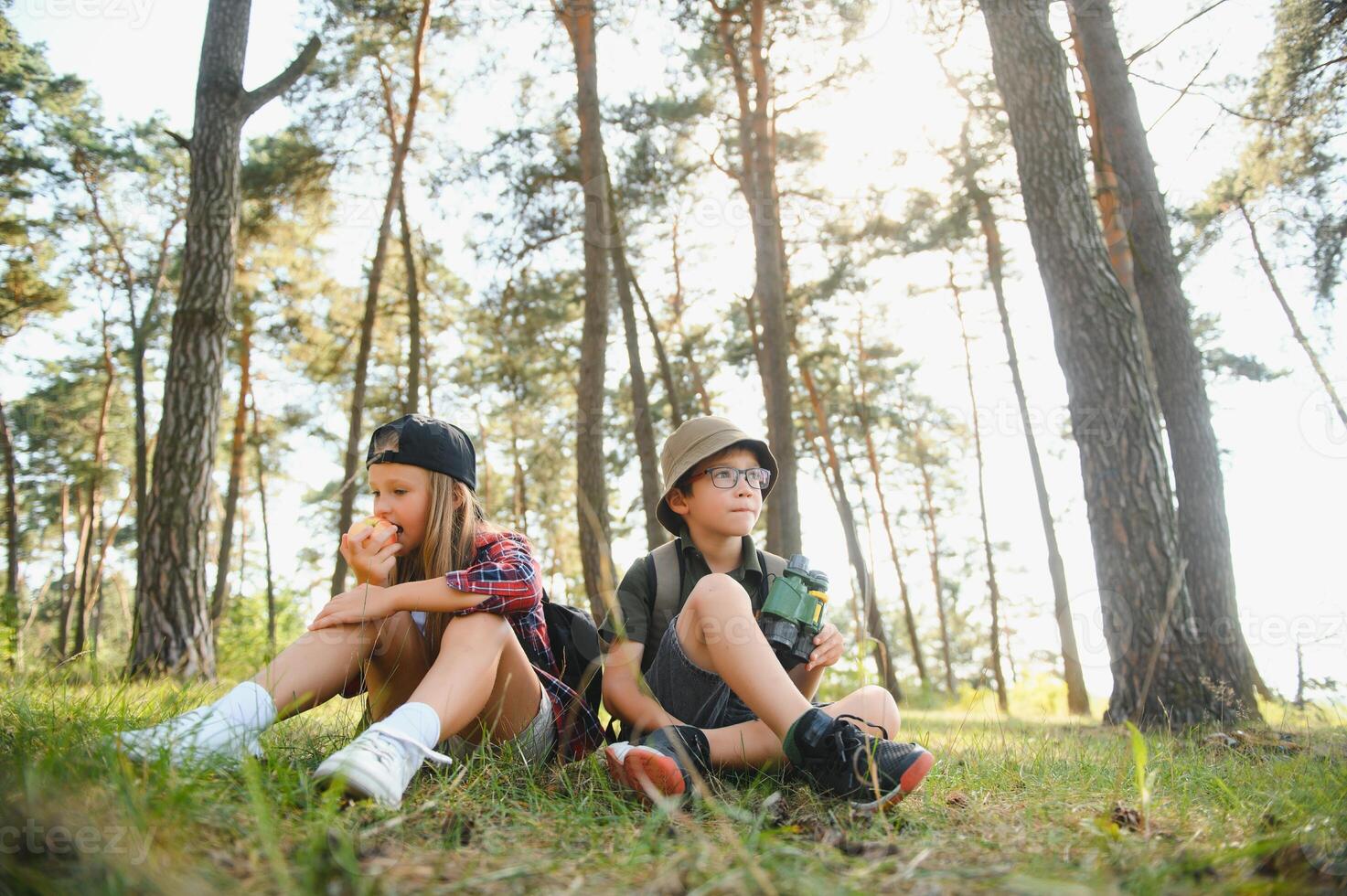 kids scouts in the forest. photo