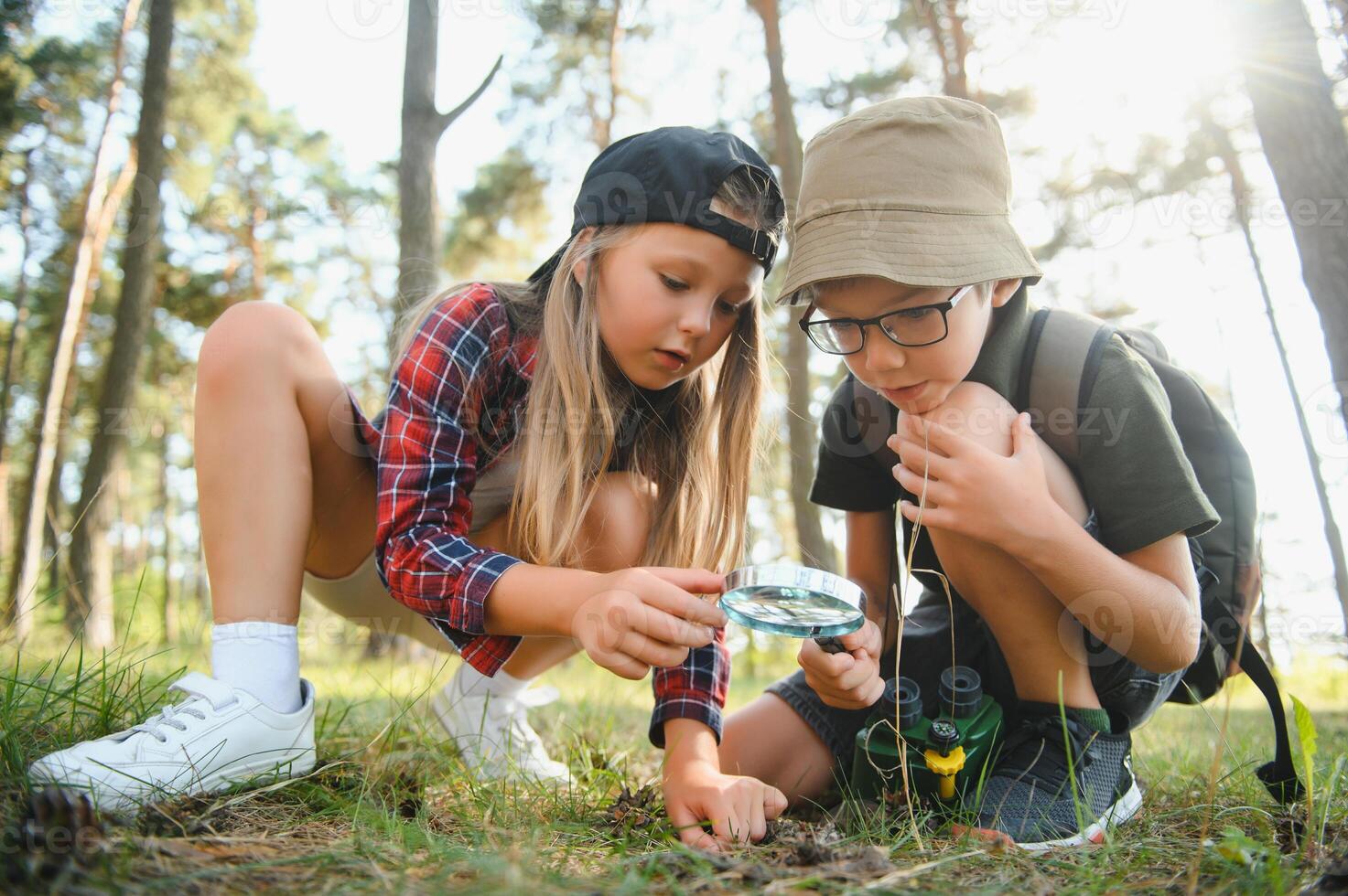 kids in green forest playing,concept of kids vacations and travel photo