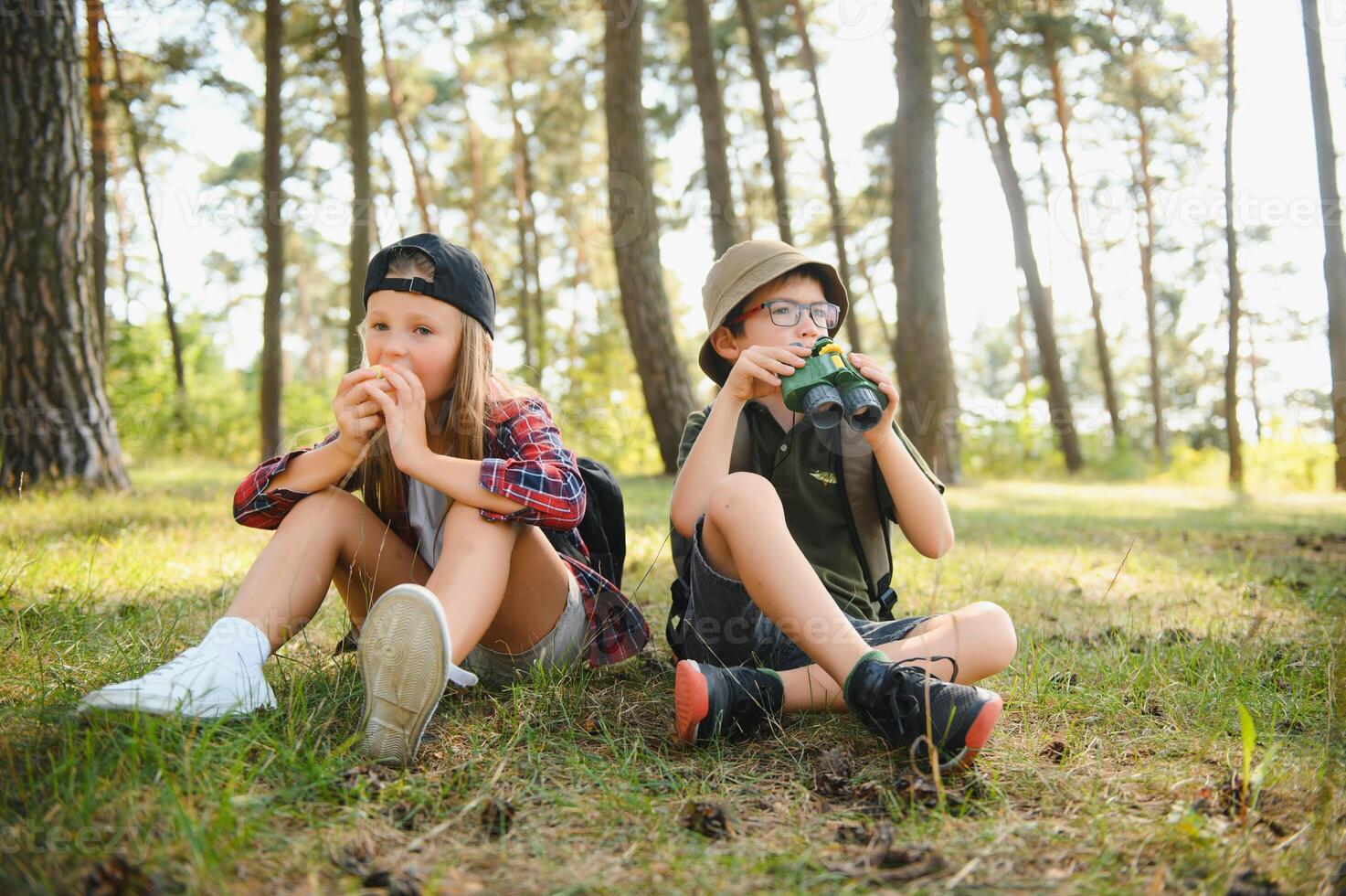 kids scouts in the forest. photo