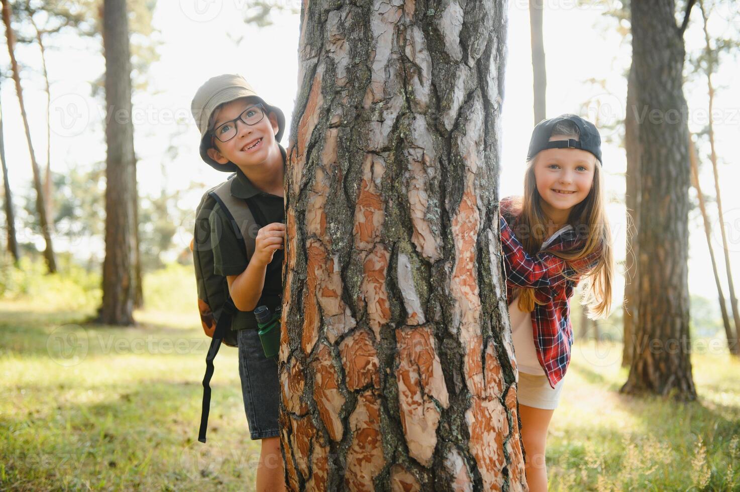kids in green forest playing,concept of kids vacations and travel photo