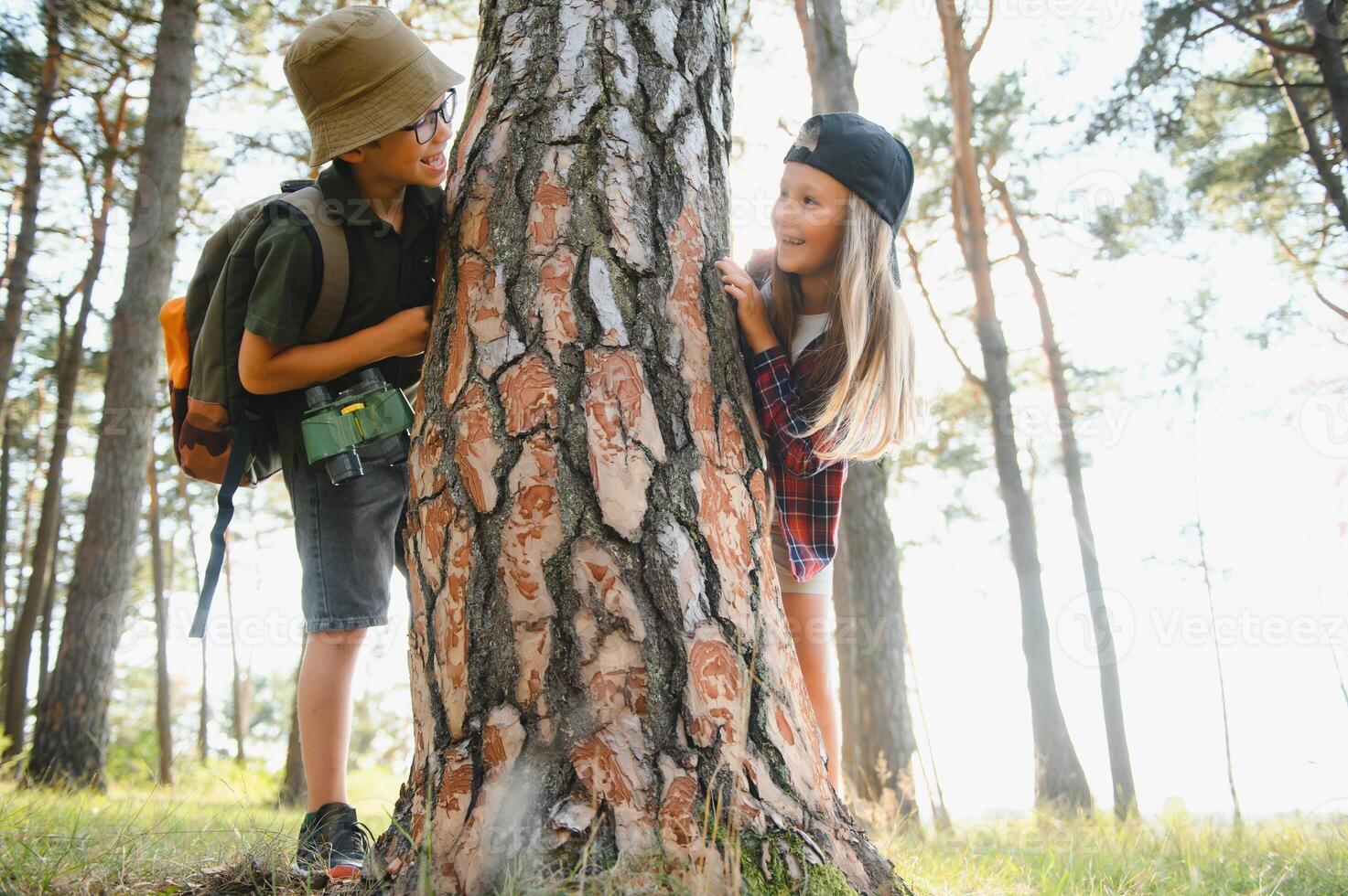 kids in green forest playing,concept of kids vacations and travel photo