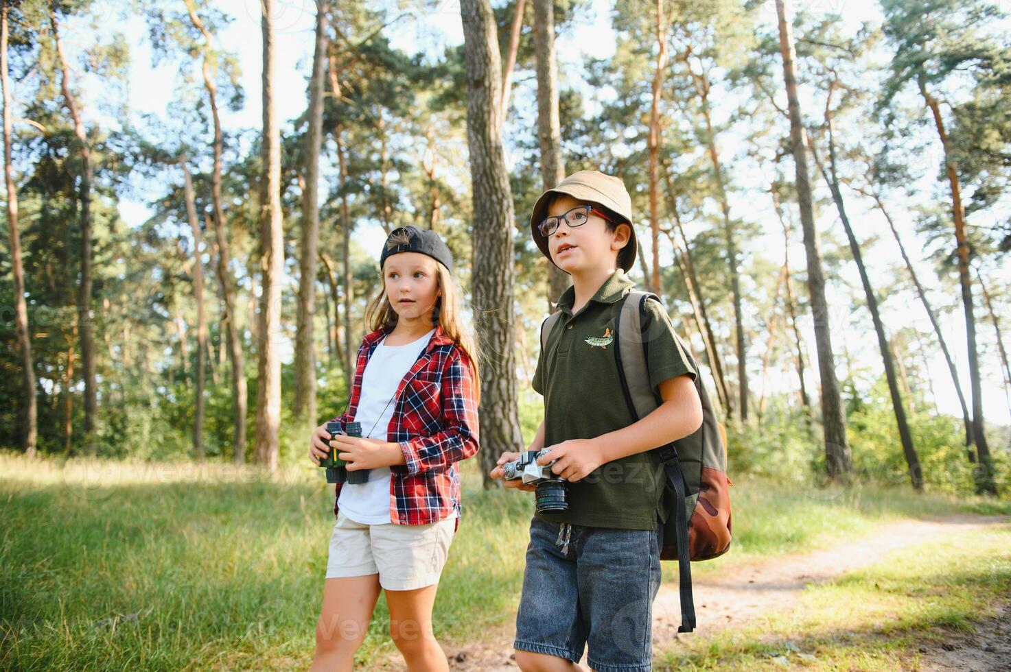 Little boy and girl go hiking on a forest road photo