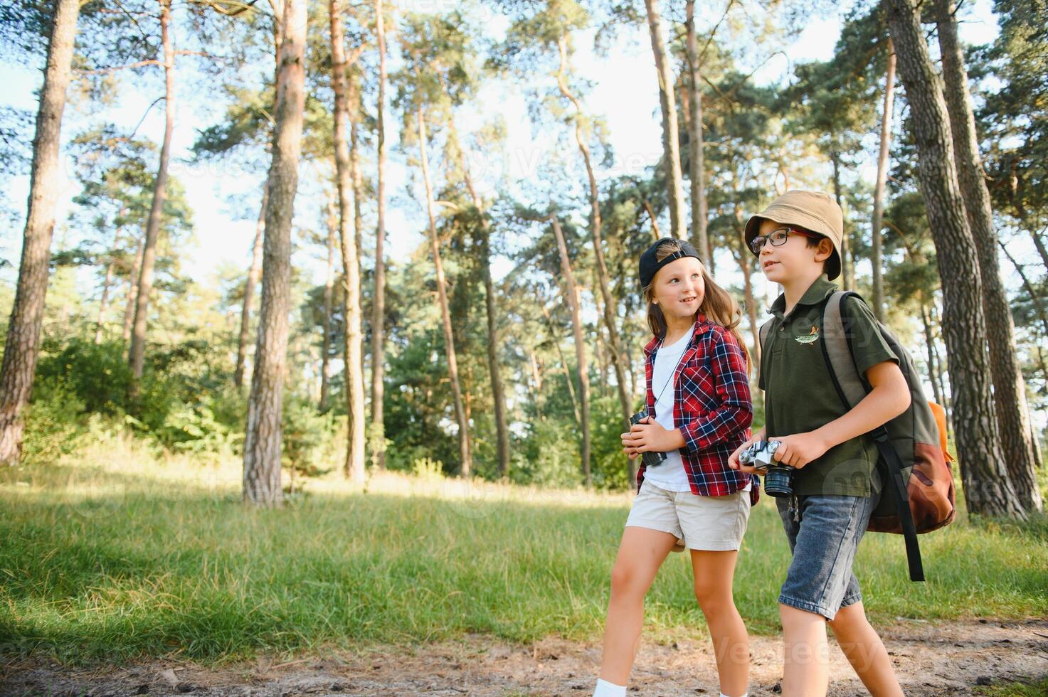 Happy excited school children with backpacks in casual clothes enjoying walk in forest on sunny autumn day, two active kids boy and girl running and playing together during camping trip in nature. photo