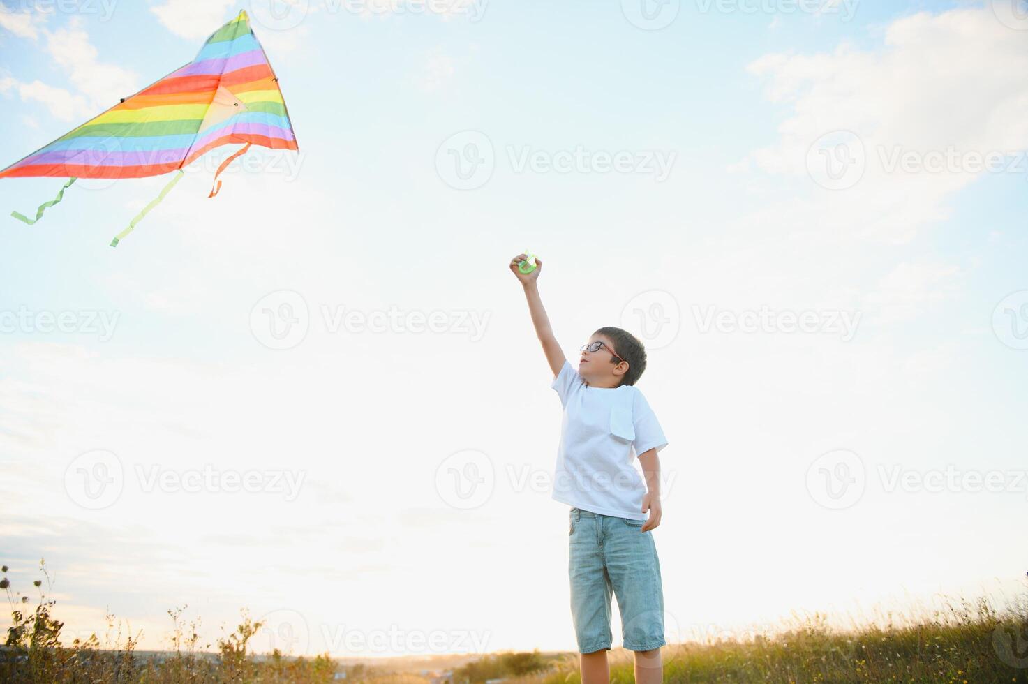 Little boy on summer vacation having fun and happy time flying kite on the field. photo