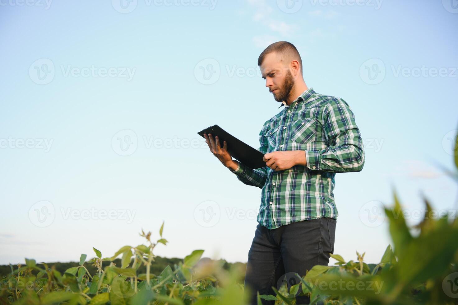 Young agronomist holds tablet touch pad computer in the soy field and examining crops before harvesting. Agribusiness concept. agricultural engineer standing in a soy field with a tablet in summer. photo