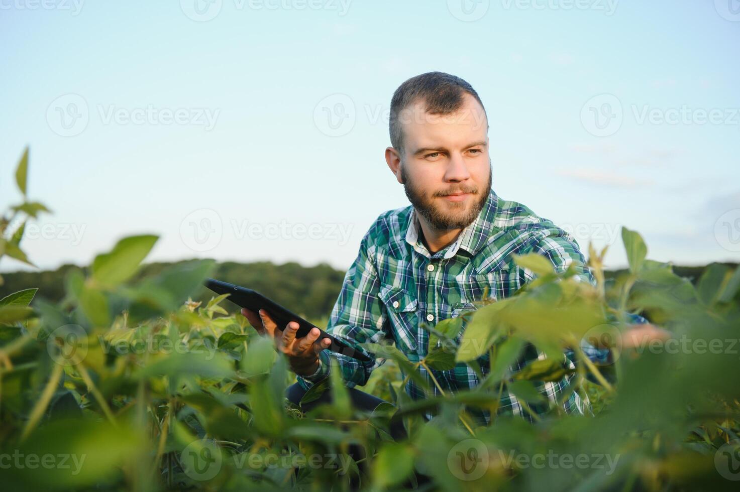 Young agronomist holds tablet touch pad computer in the soy field and examining crops before harvesting. Agribusiness concept. agricultural engineer standing in a soy field with a tablet in summer. photo