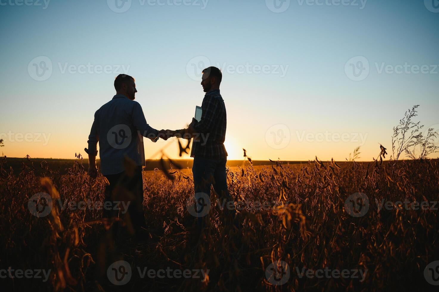 Two farmers shaking hands in soybean field. photo