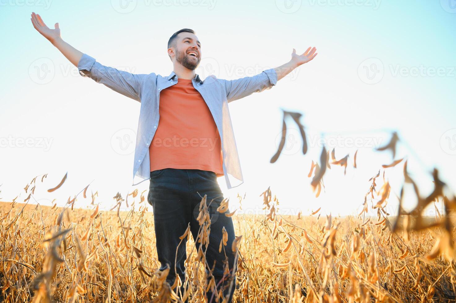 A farmer inspects a soybean field. The concept of the harvest photo