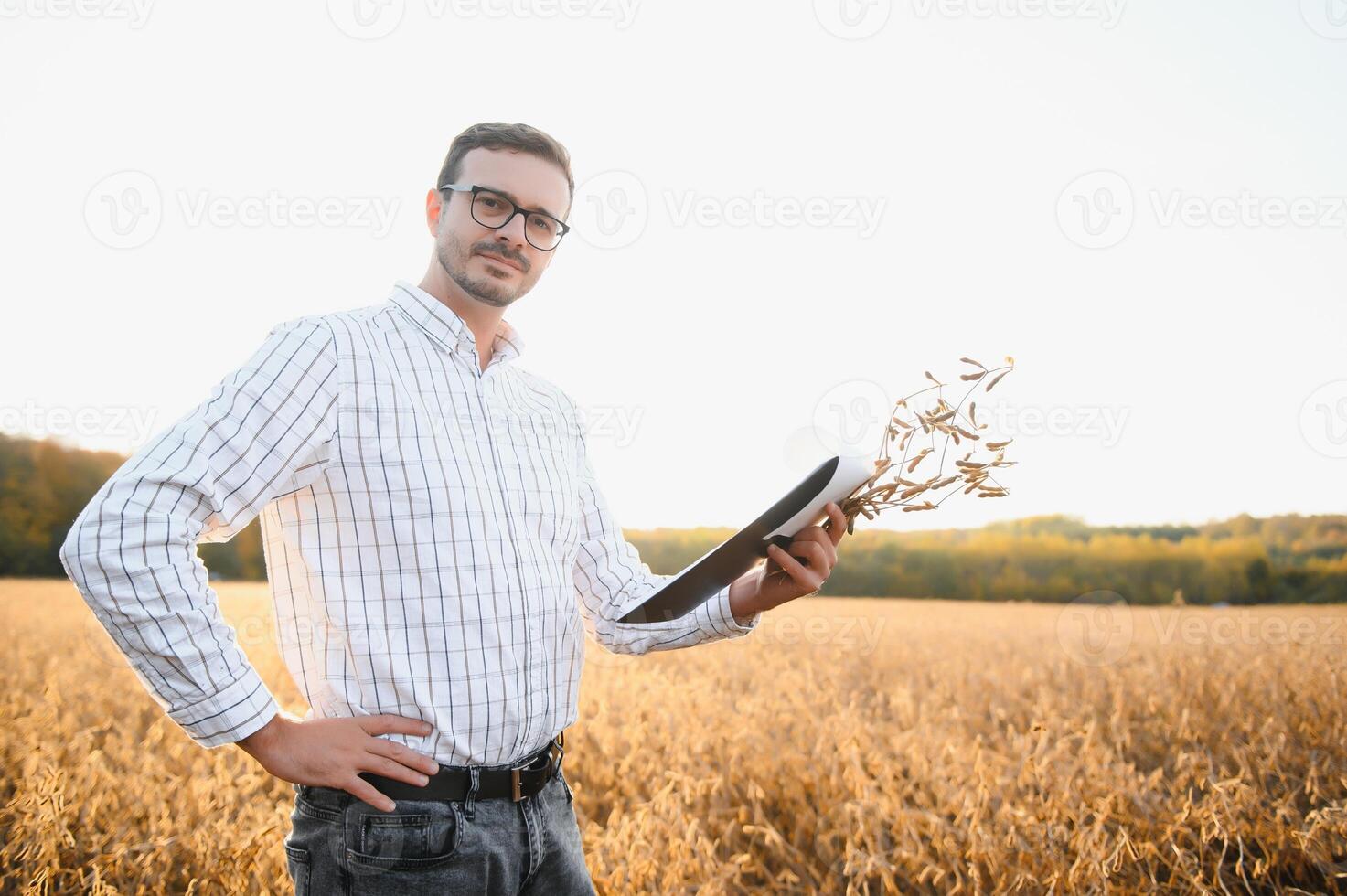 Agronomist inspects soybean crop in agricultural field - Agro concept - farmer in soybean plantation on farm photo