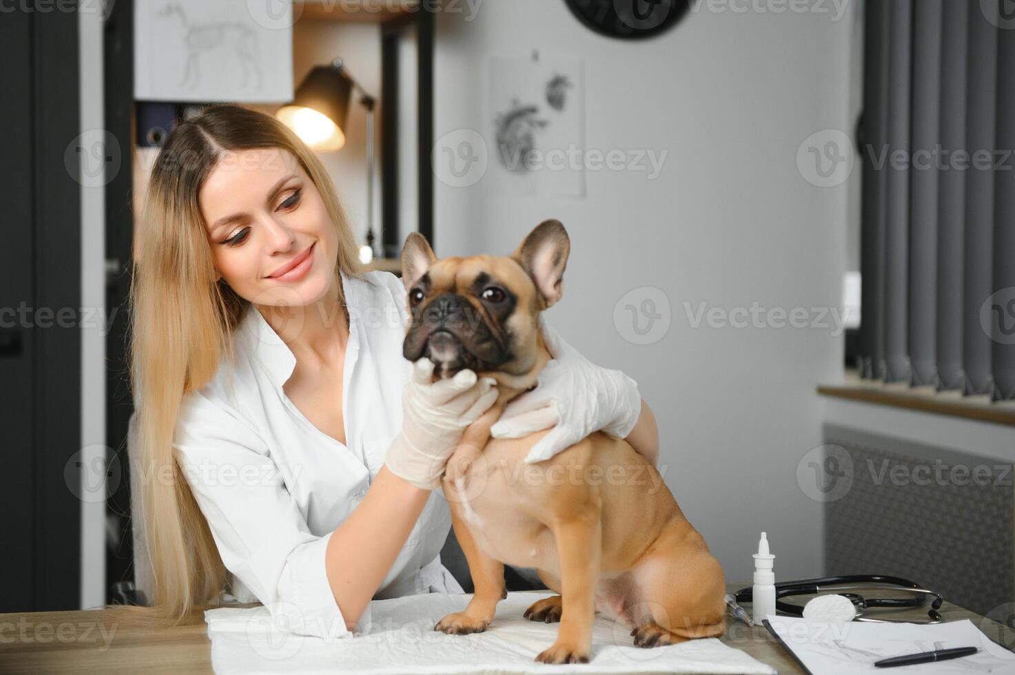 Veterinarian woman wearing uniform at the clinic, hugging dog with love photo