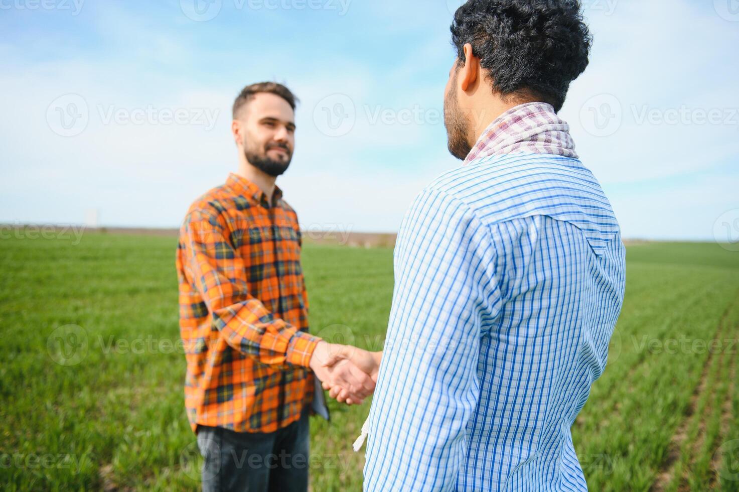 Indian and European farmers stand in a field of green wheat photo