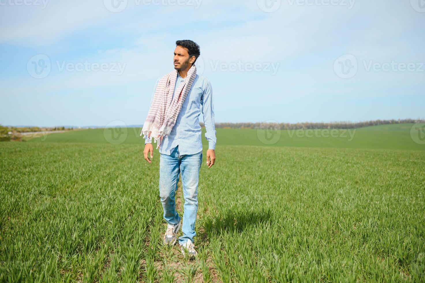 Portrait of farmer standing in a wheat field. farmer stands in green wheat field, looks, examines his crop photo