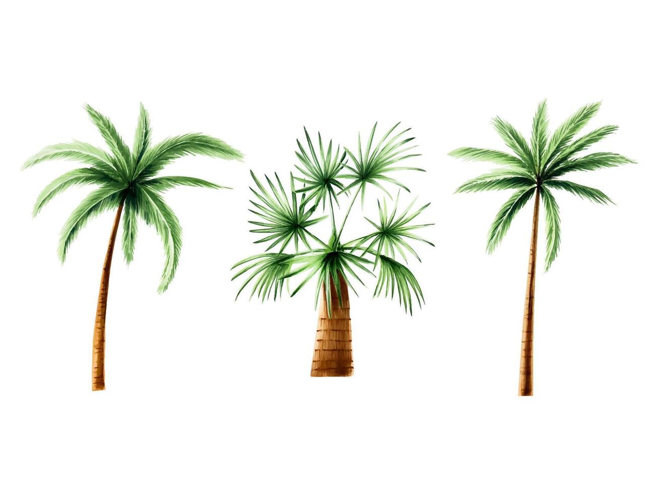 Set of green palm trees. Coconut trees clipart. Watercolor hand drawn floral jungle illustration isolated on background. For designers, postcards, vector
