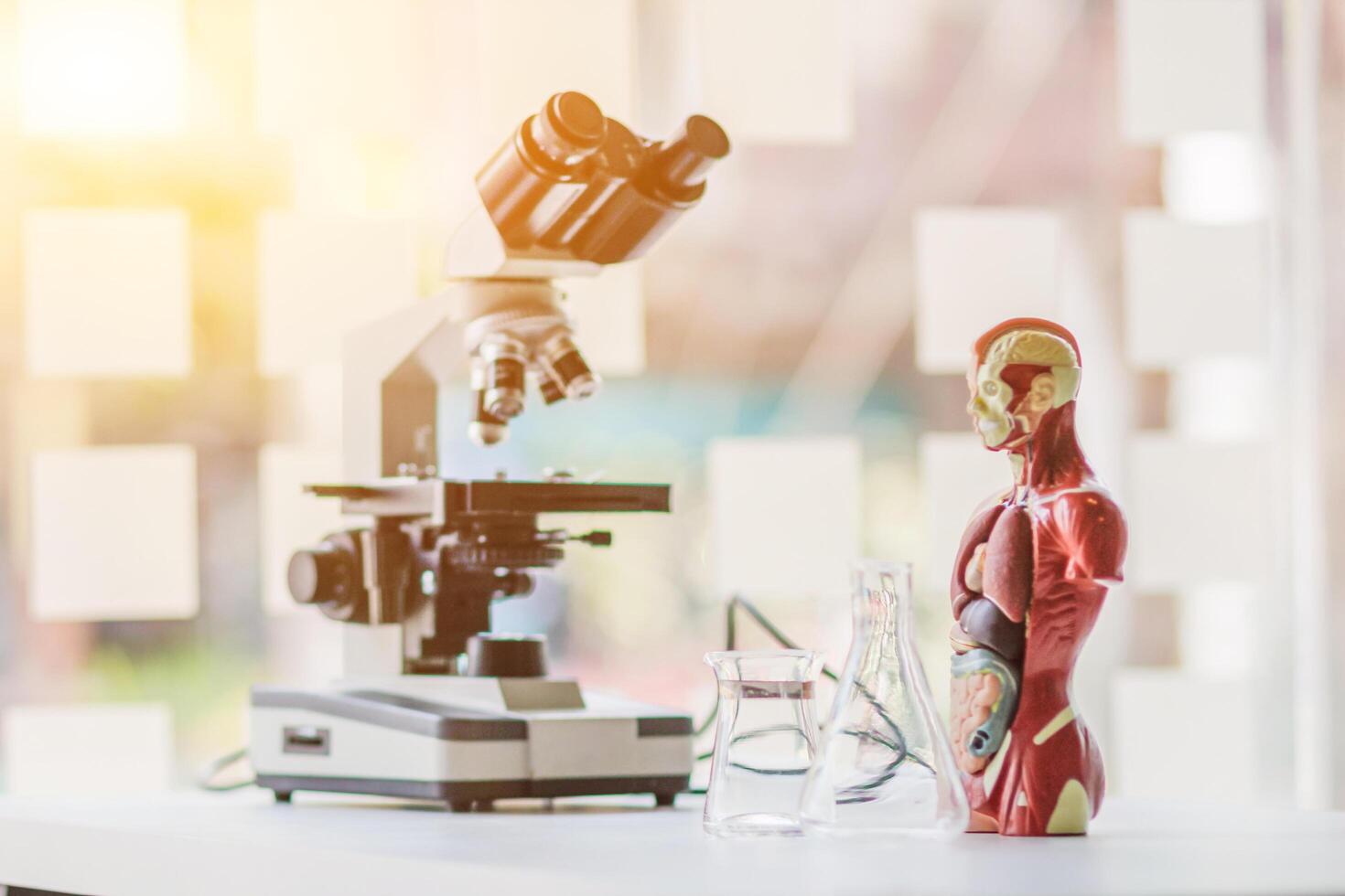 The medical team is studying coronavirus corvid 19 in the lab to produce a vaccine to treat coronavirus corvid 19. The concept of study and research on how to prevent coronavirus corvid 19 photo