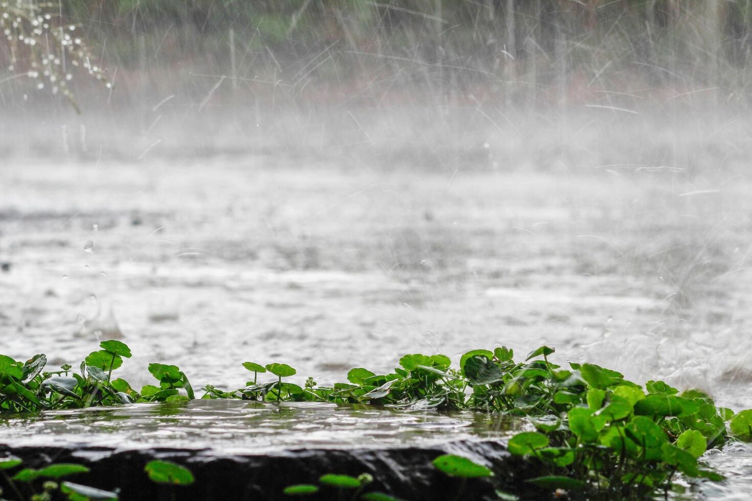 The rain was falling on the roadway due to a precipitation that was forming after the depression hit Thailand, causing heavy rains in some areas and flooding the road surface. photo