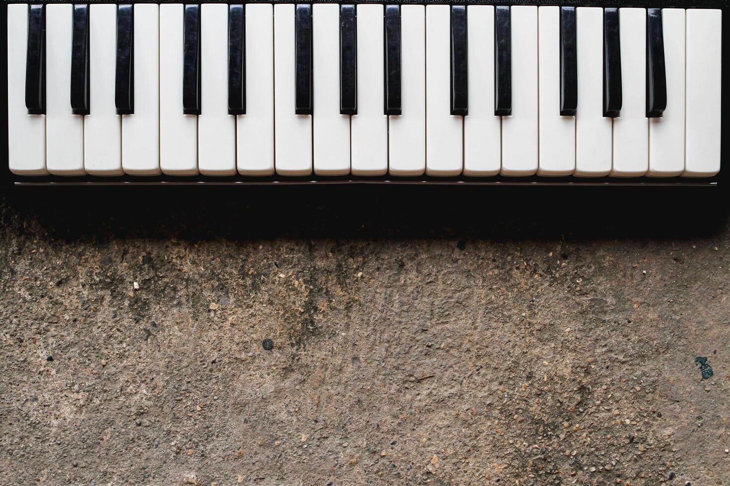 The small piano keys were placed on the floor as the piano keys of young musicians who were prepared to practice for a school performance. photo