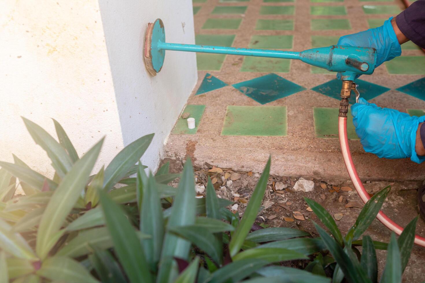 Pest exterminator employees are using pesticide sprayer at client's home and searching for as many nests as possible. An employee from pest control company is spraying chemicals to kill the insects. photo