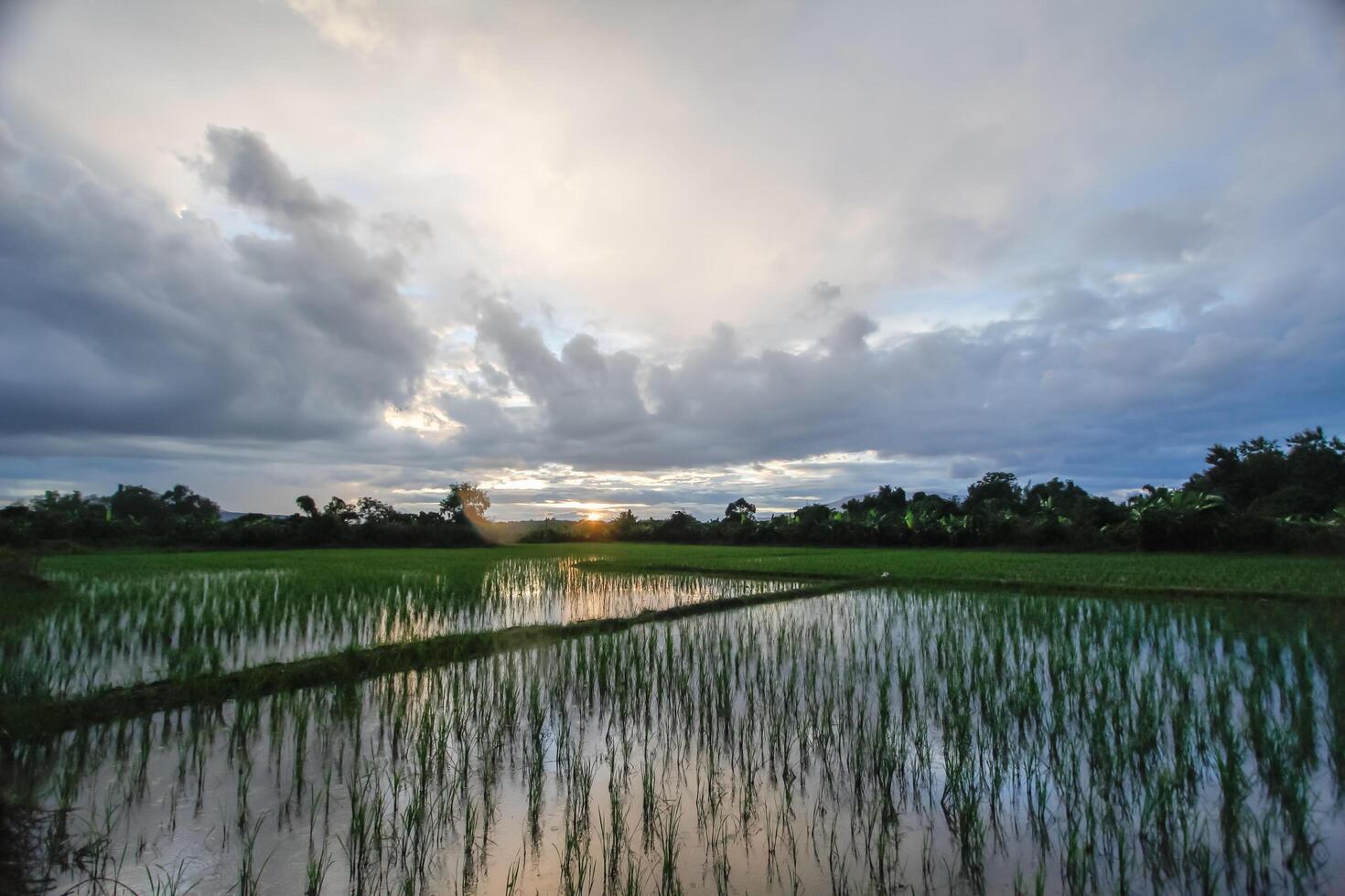 The rain clouds that are forming above the sky are rain clouds of the storms that are bringing moisture into the seasonal areas. The background of the sky is full of black clouds from thunderstorm photo