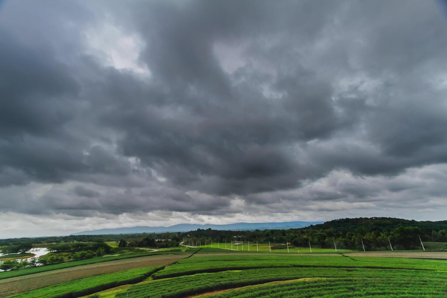 The rain clouds that are forming above the sky are rain clouds of the storms that are bringing moisture into the seasonal areas. The background of the sky is full of black clouds from thunderstorm photo