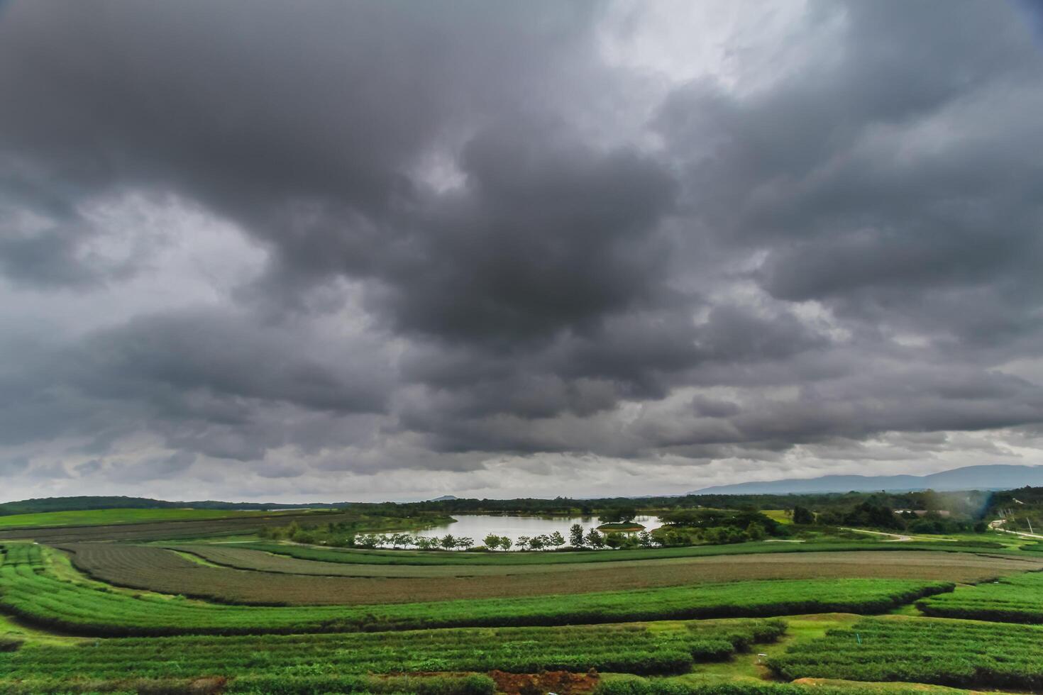The rain clouds that are forming above the sky are rain clouds of the storms that are bringing moisture into the seasonal areas. The background of the sky is full of black clouds from thunderstorm photo