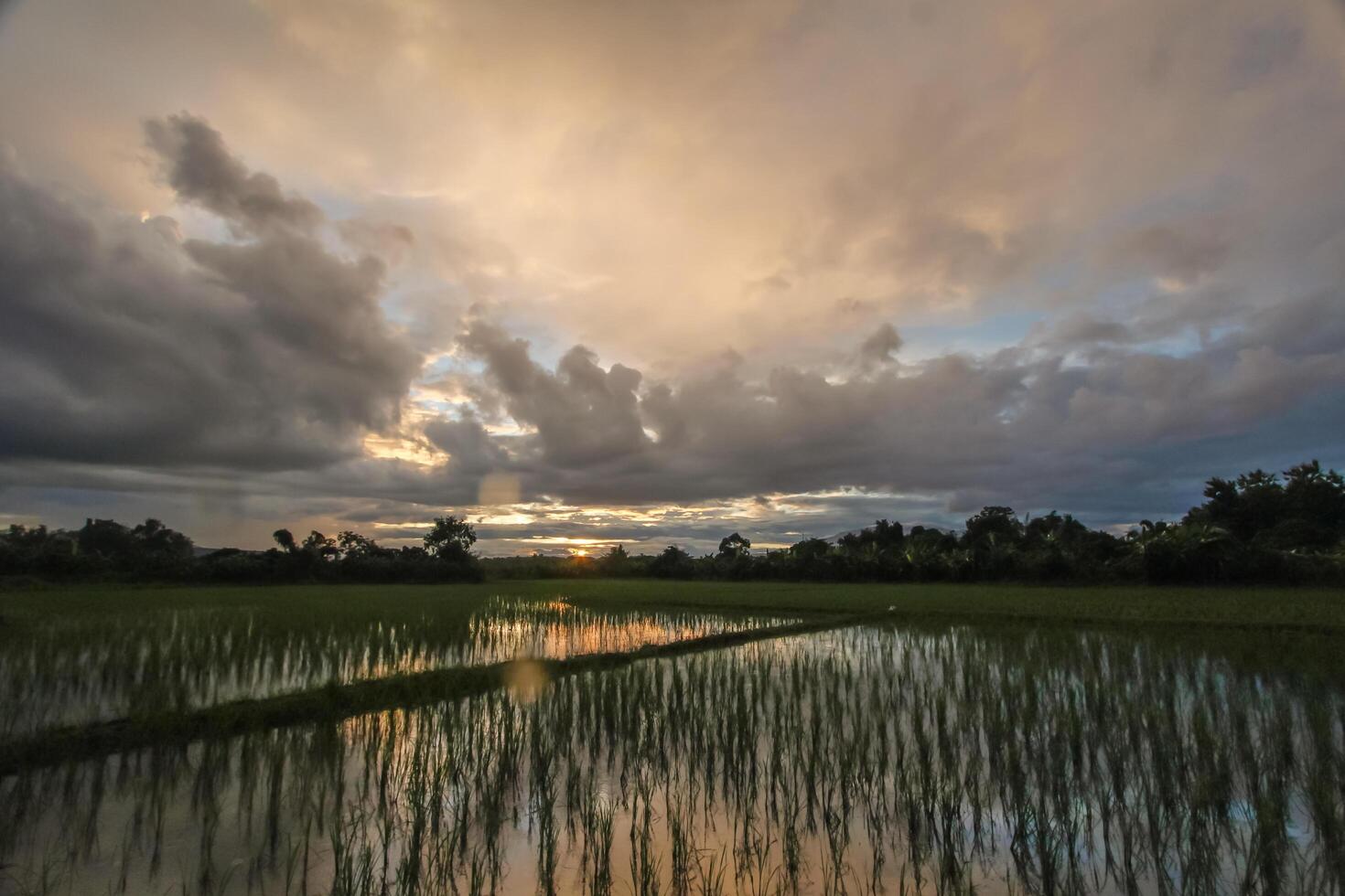 The rain clouds that are forming above the fields are rain clouds caused by storms that are resting moisture into the seasonal areas. The sky background is full of black clouds from thunderstorm. photo
