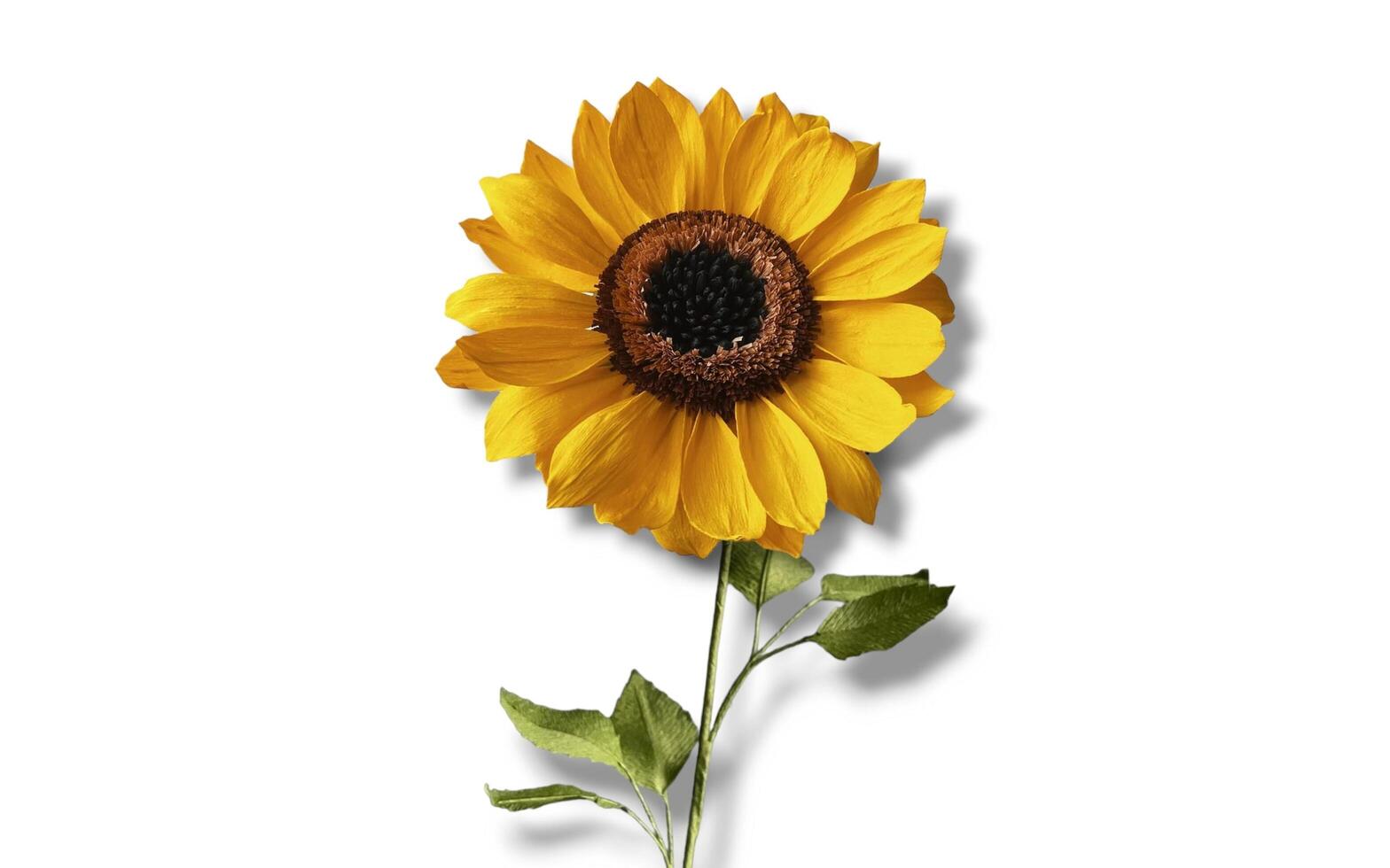 Spring sunflower with border frame. Floral banner border copy space. photo