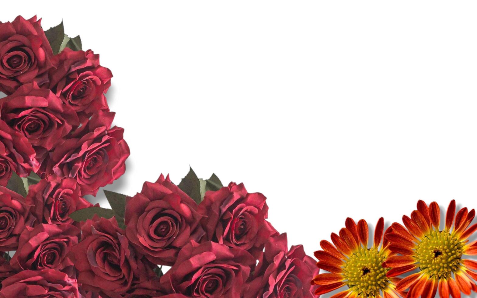 Red roses on background with space for text photo
