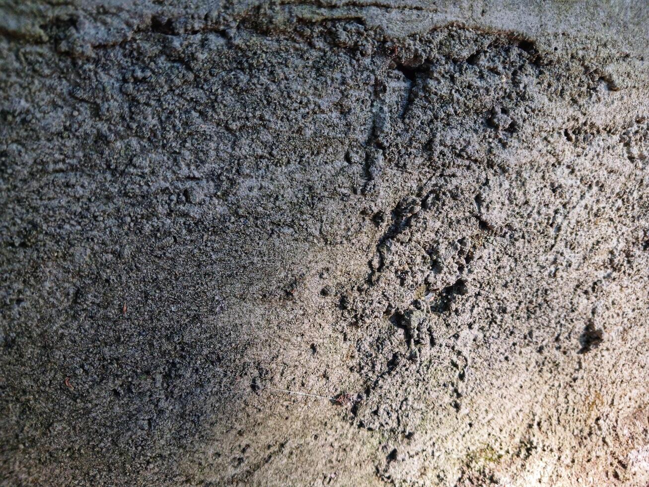 Rough background texture of building wall. Suitable for additional design projects. photo