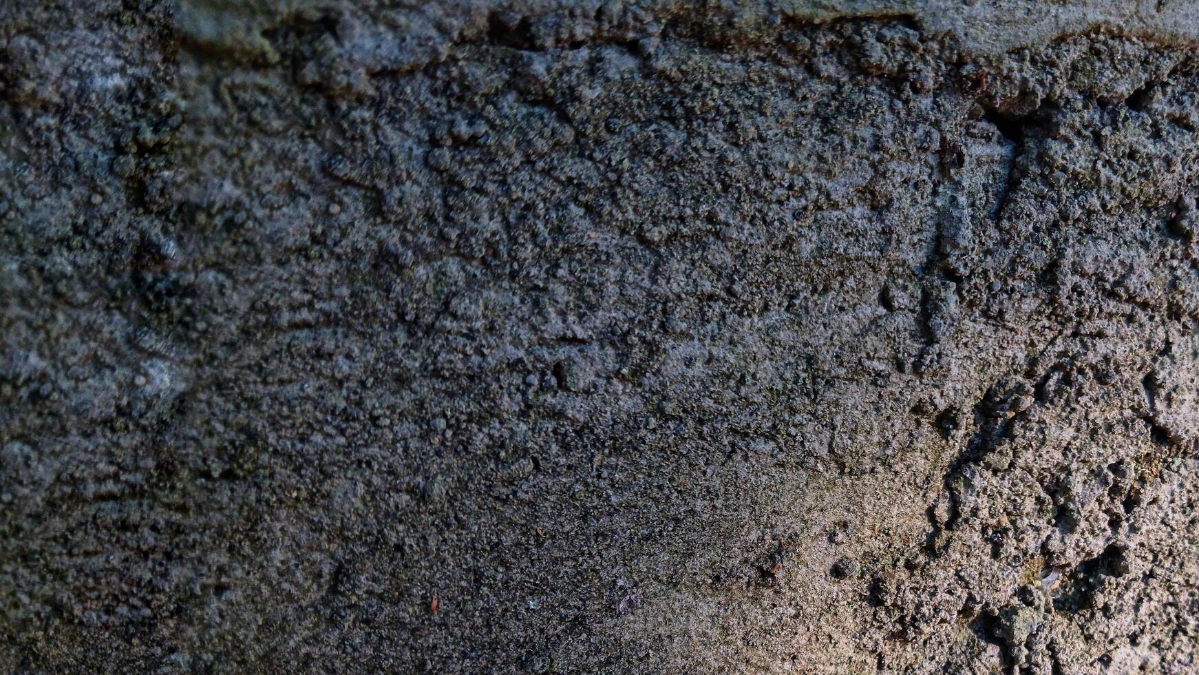 Rough background texture of building wall. Suitable for additional design projects. photo