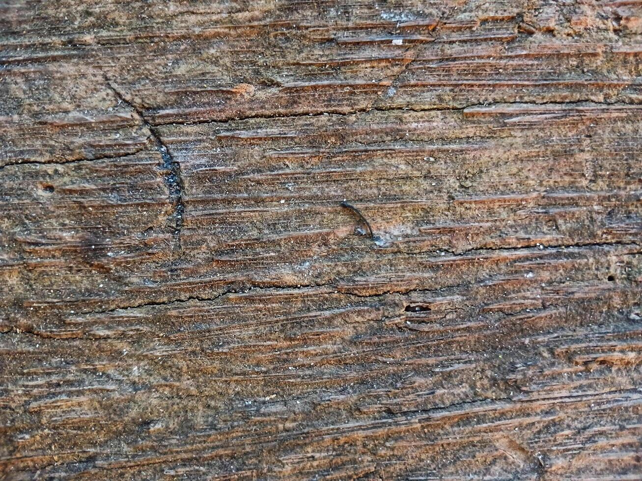 Close-up of old coconut wood texture background. Suitable for additional design projects. photo