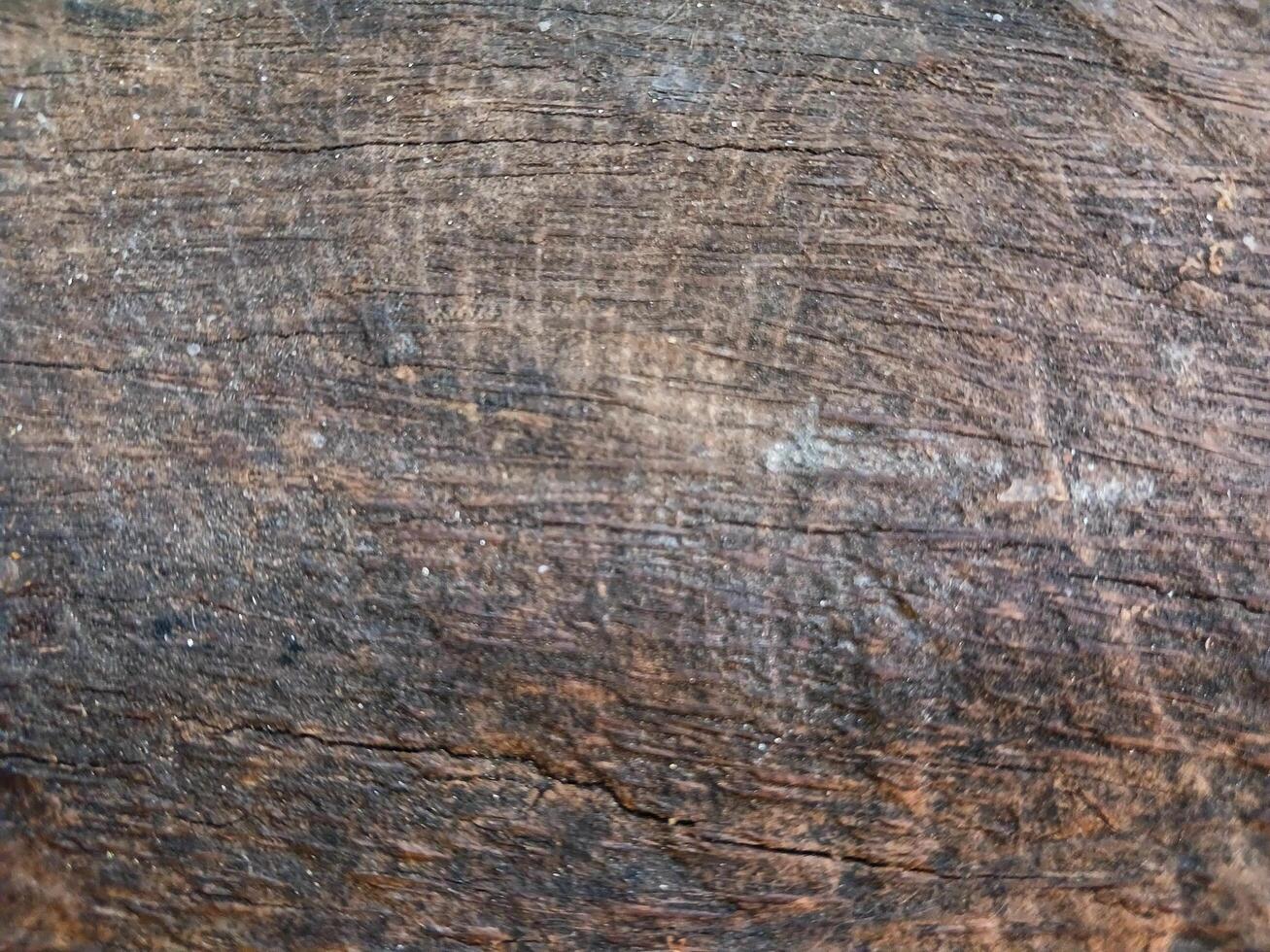 Close-up of old coconut wood texture background. Suitable for additional design projects. photo