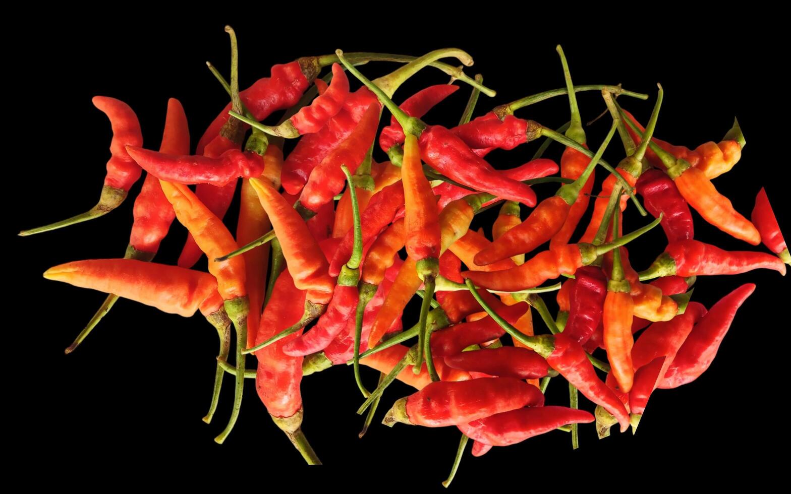 Close up chili background. Hot red chili wallpaper. photo