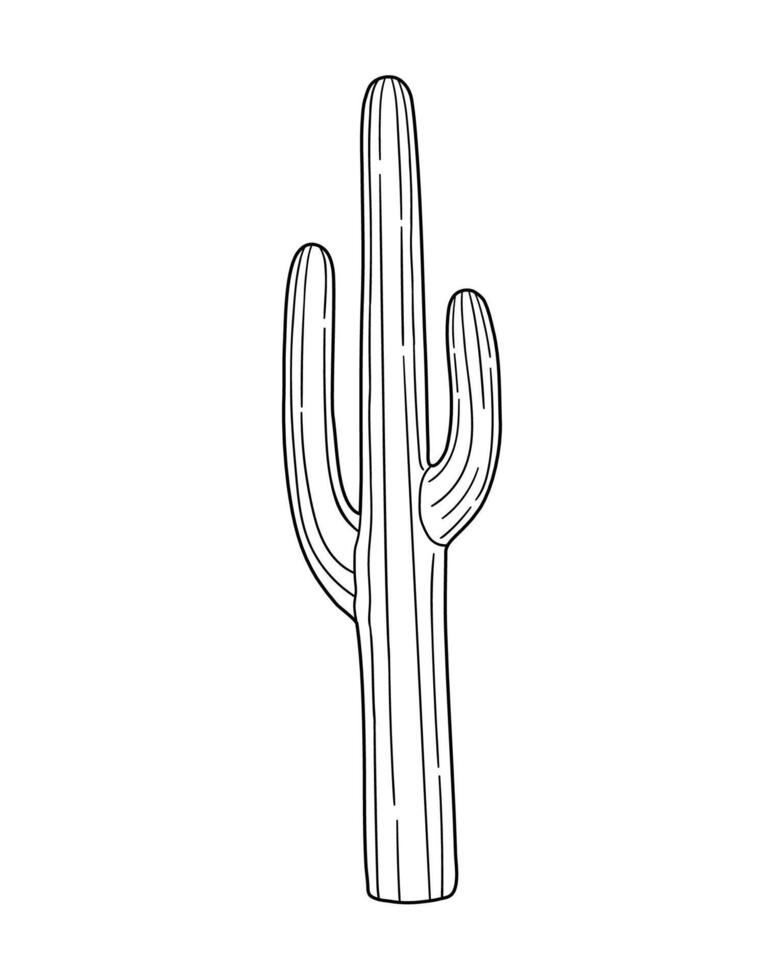 Desert cactus. Hand drawn illustration in sketch style. vector