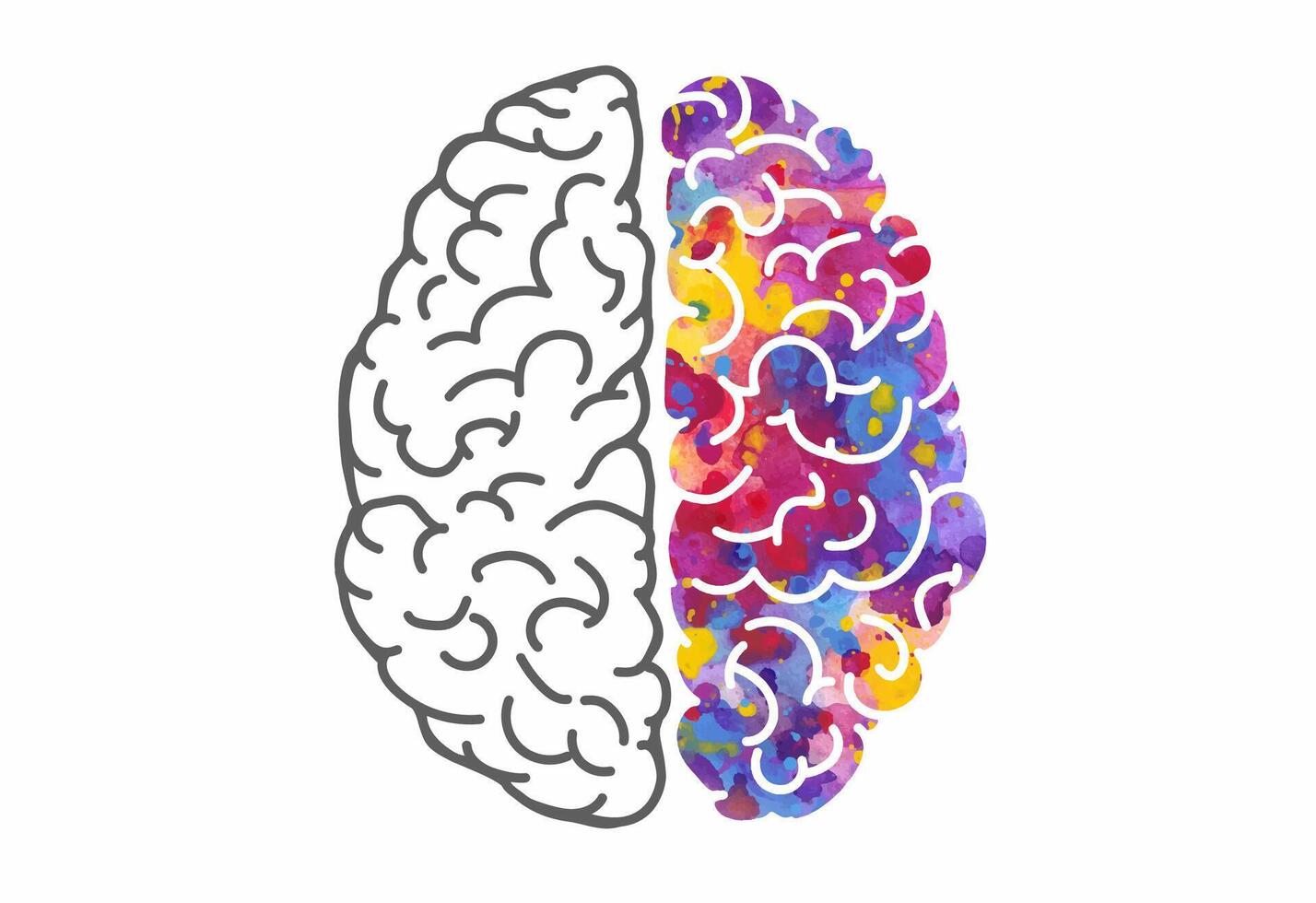 Watercolor brain, left and right hemispheres. illustration vector