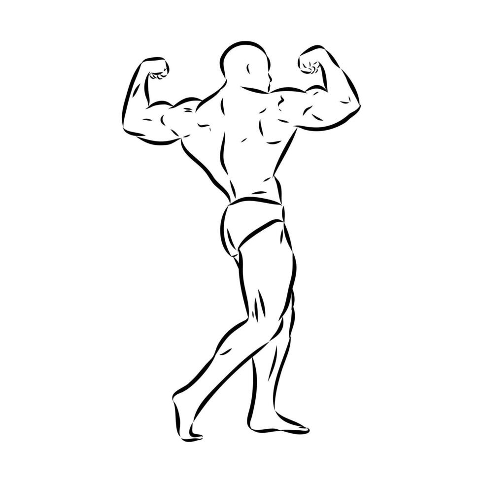 athlete bodybuilder sketch vector