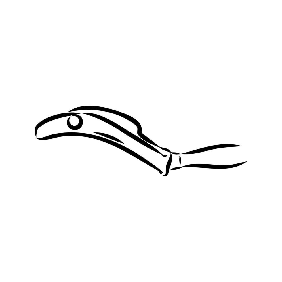 Basque pelota sketch vector