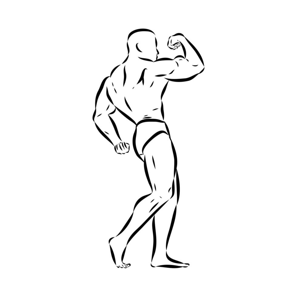 athlete bodybuilder sketch vector